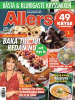Allers SE